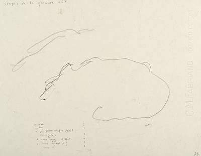 verso - Copyright Fondation Hainard