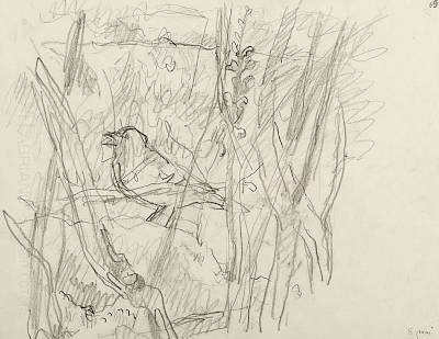 Robert Hainard - Pinson et orobanche (croquis) - Copyright Fondation Hainard