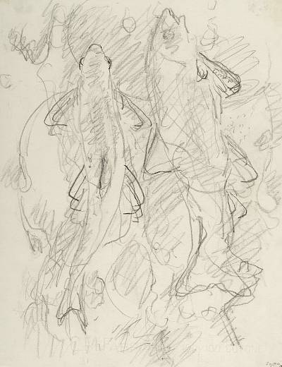 Robert Hainard - Deux hotus (croquis) - Copyright Fondation Hainard