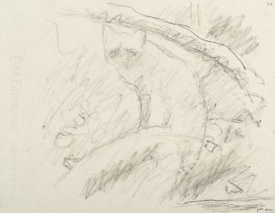 Robert Hainard - Renard dans la pénombre (croquis) - Copyright Fondation Hainard