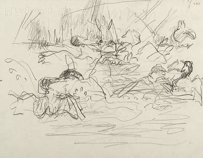 Robert Hainard - Triple combat de foulques (croquis) - Copyright Fondation Hainard