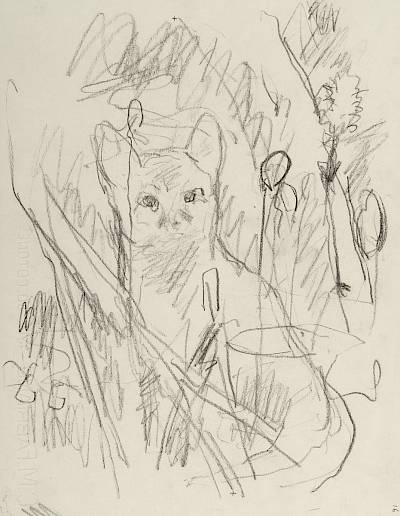 Robert Hainard - Le renardeau émancipé (croquis) - Copyright Fondation Hainard