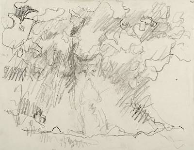 Robert Hainard - Baiser de renards (croquis) - Copyright Fondation Hainard