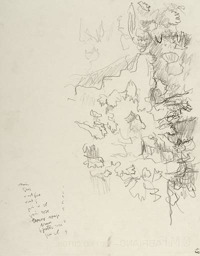 Robert Hainard - Grimpereau des bois allant à son nid (croquis) - Copyright Fondation Hainard
