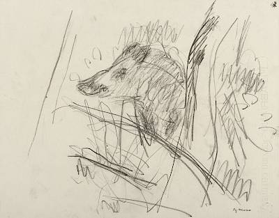 Robert Hainard - Laie flairant (croquis) - Copyright Fondation Hainard