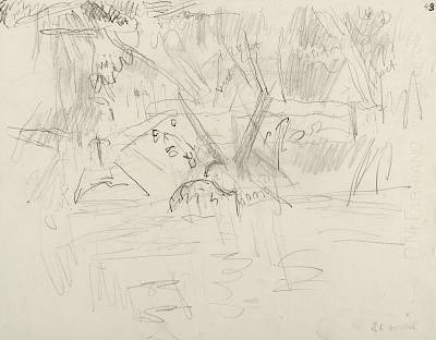 Robert Hainard - Le bain des hirondelles (croquis) - Copyright Fondation Hainard