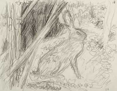 Robert Hainard - Lièvre au couchant (croquis) - Copyright Fondation Hainard