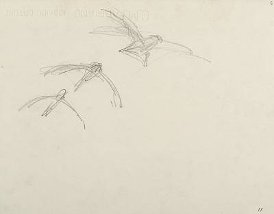 Robert Hainard - Trois martinets noirs (croquis) - Copyright Fondation Hainard