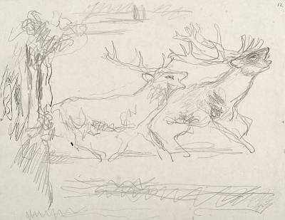Robert Hainard - Cerfs s'accompagnant (croquis) - Copyright Fondation Hainard