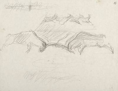 Robert Hainard - Combat de cerfs et troupe de biches (croquis) - Copyright Fondation Hainard