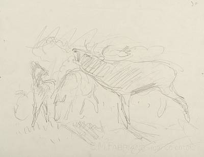 Robert Hainard - Cerf brâmant, et faon dans les buées (croquis) - Copyright Fondation Hainard