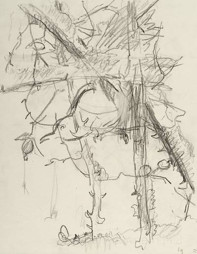 Robert Hainard - Merle dans l'églantier (croquis) - Copyright Fondation Hainard