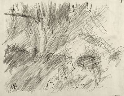 Robert Hainard - Sangliers à un mètre (croquis) - Copyright Fondation Hainard