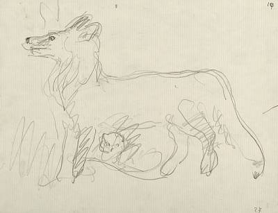 Robert Hainard - La première sortie du renardeau (croquis) - Copyright Fondation Hainard