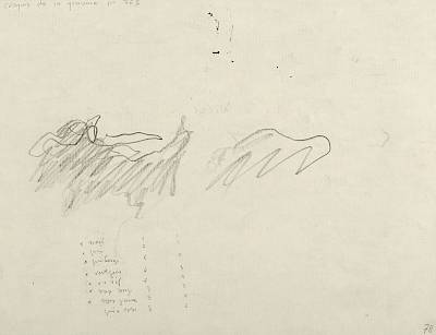 verso - Copyright Fondation Hainard