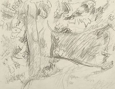 Robert Hainard - La première sortie du renardeau (croquis) - Copyright Fondation Hainard