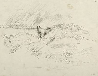 Robert Hainard - Poursuite de renards (croquis) - Copyright Fondation Hainard