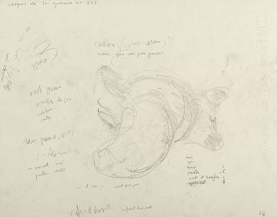 verso - Copyright Fondation Hainard