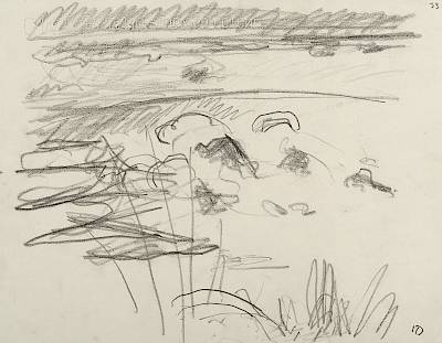 Robert Hainard - Sangliers traversant l'étang (croquis) - Copyright Fondation Hainard