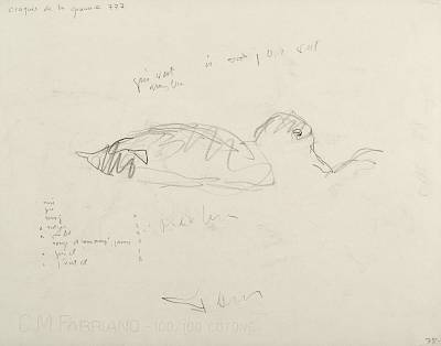 Copyright Fondation Hainard