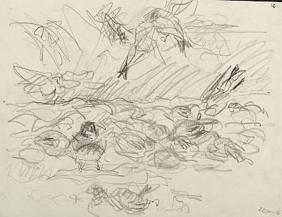 Robert Hainard - Bande de pinsons du Nord (croquis) - Copyright Fondation Hainard