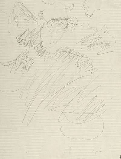 Robert Hainard - Tourterelle turque, vol nuptiale (croquis) - Copyright Fondation Hainard