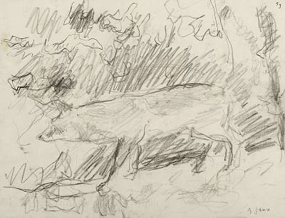 Robert Hainard - La fière renarde (croquis) - Copyright Fondation Hainard