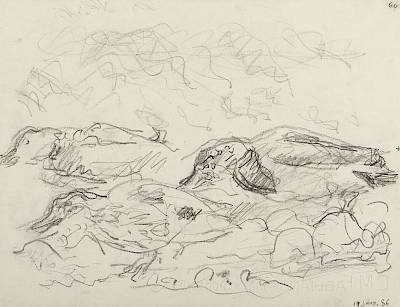 Robert Hainard - Trois colverts (croquis) - Copyright Fondation Hainard
