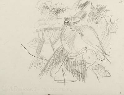 Robert Hainard - Chevêche au lever du soleil (croquis) - Copyright Fondation Hainard