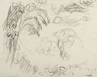 Robert Hainard - Les premiers blaireaux de Sophie (croquis) - Copyright Fondation Hainard
