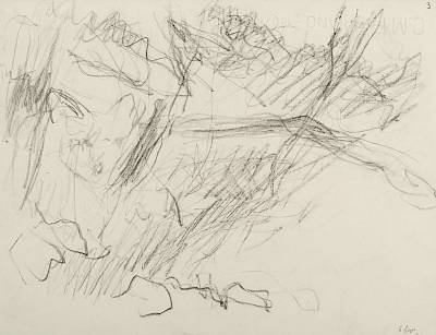 Robert Hainard - Apparition de renard (croquis) - Copyright Fondation Hainard