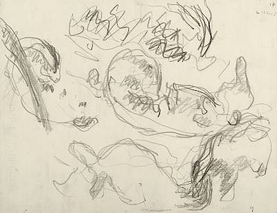 Robert Hainard - Soirée de blaireaux (croquis) - Copyright Fondation Hainard