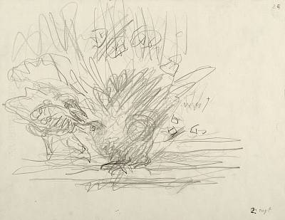 Robert Hainard - Le bain des merles (croquis) - Copyright Fondation Hainard