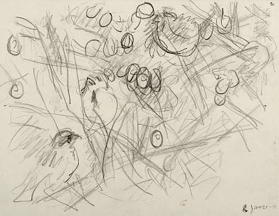 Robert Hainard - Moineaux dans l'églantier (croquis) - Copyright Fondation Hainard