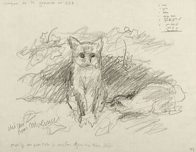 verso - Copyright Fondation Hainard