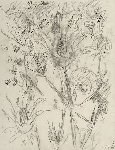 Robert Hainard - Chardons bleus (croquis) - Copyright Fondation Hainard