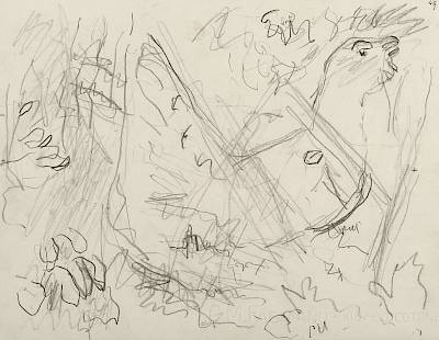 Robert Hainard - Grand coq au soleil (croquis) - Copyright Fondation Hainard