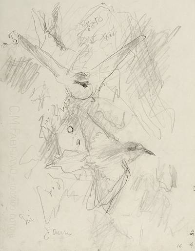 Robert Hainard - Deux guêpier (croquis) - Copyright Fondation Hainard