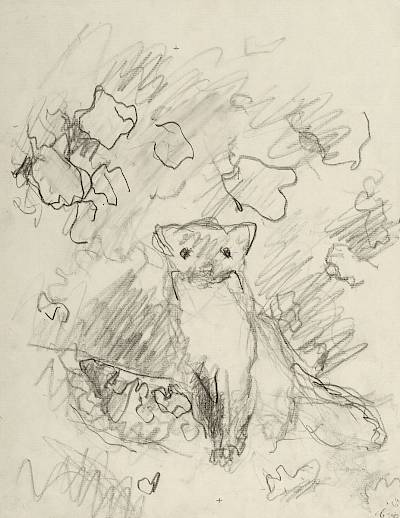 Robert Hainard - La fouine en face (croquis) - Copyright Fondation Hainard