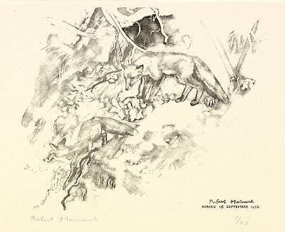 Robert Hainard - Deux renards sur une pente ravinée - Copyright Fondation Hainard