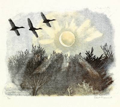 Robert Hainard - Le soleil se lève sur le marais - Copyright Fondation Hainard