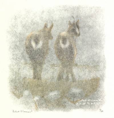Robert Hainard - Deux chamois dans le brouillard - Copyright Fondation Hainard