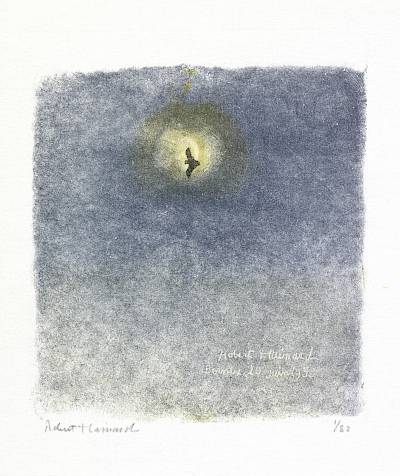 Robert Hainard - La noctule devant la lune - Copyright Fondation Hainard
