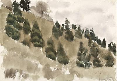 Robert Hainard - Pied du Salève - Copyright Fondation Hainard