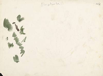verso - Copyright Fondation Hainard