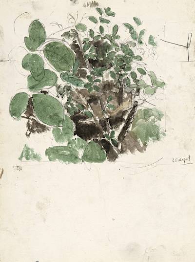 Robert Hainard - Etude pour un nid - Copyright Fondation Hainard