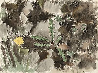 Robert Hainard - Epervière - Copyright Fondation Hainard