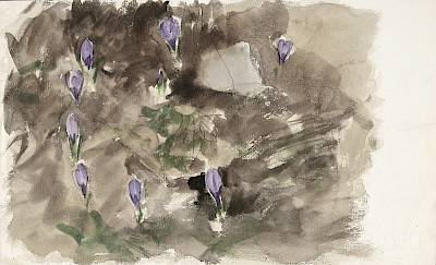Robert Hainard - Crocus - Copyright Fondation Hainard