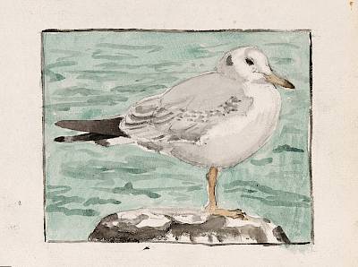 Robert Hainard - Sans titre - Copyright Fondation Hainard