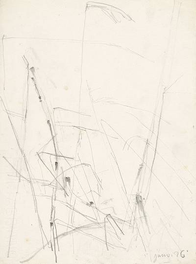 Robert Hainard - Etude de roseaux (croquis) - Copyright Fondation Hainard